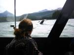 200-Whales.jpg