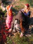 DSCN2170.JPG