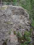 DSCN2230.JPG